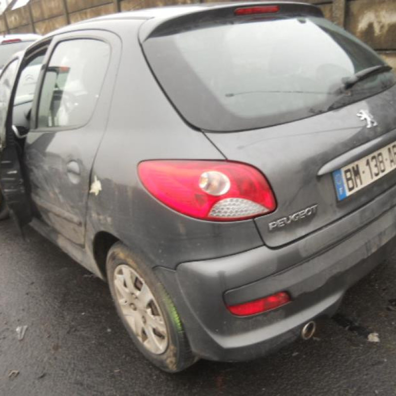 Bouton de warning PEUGEOT 206+ Photo n°8