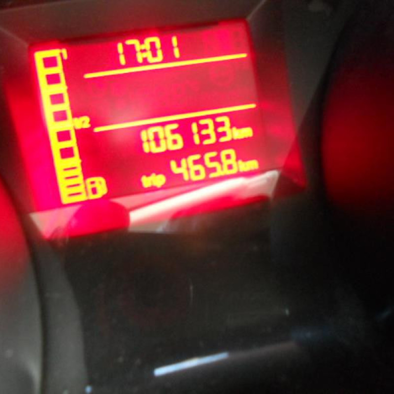Porte avant droit SEAT IBIZA 4 Photo n°11