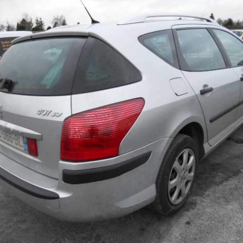 Porte arriere droit PEUGEOT 407 Photo n°7
