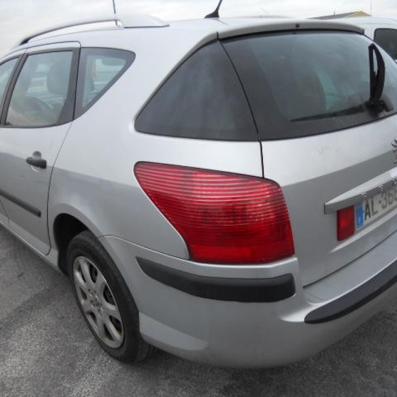 Porte arriere droit PEUGEOT 407 Photo n°8