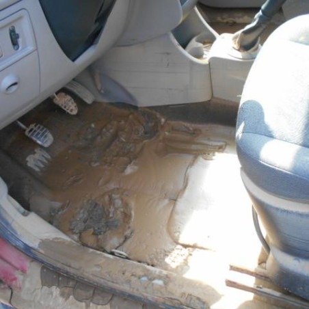 Custode avant gauche (porte) RENAULT MODUS