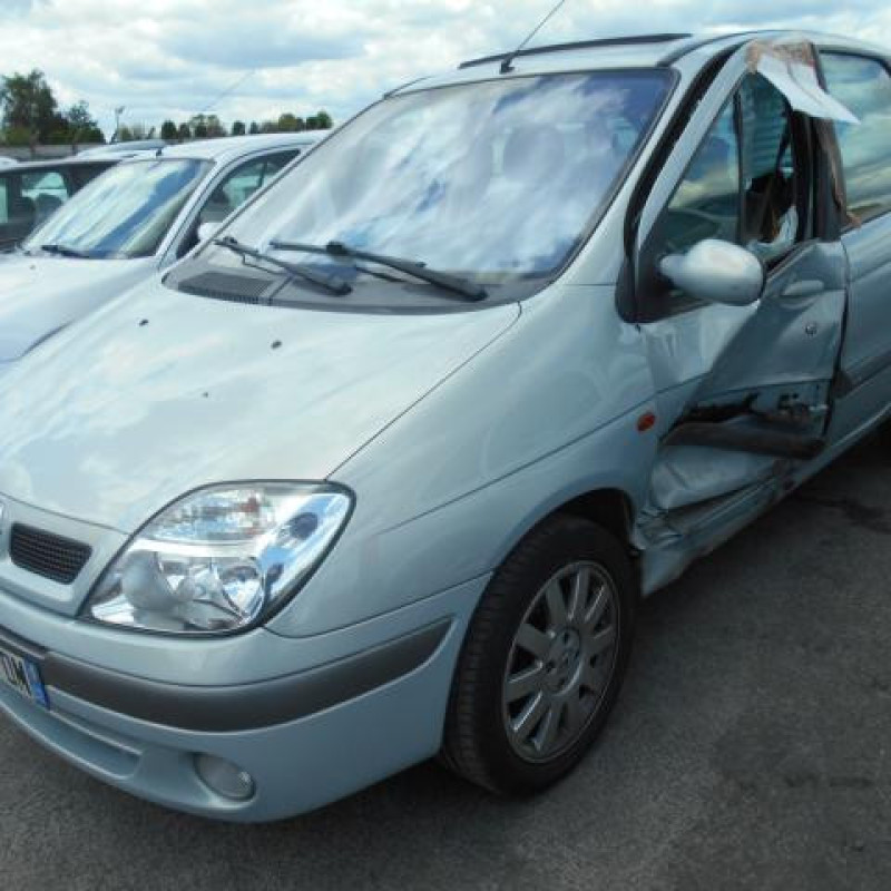 Porte avant droit RENAULT SCENIC 1 Photo n°3