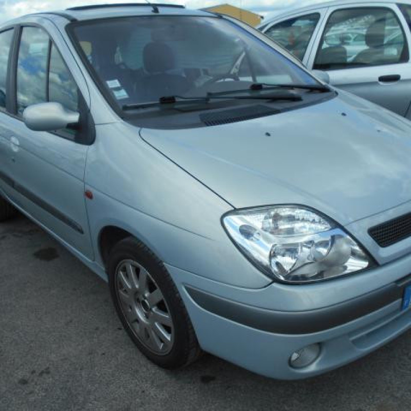 Porte avant droit RENAULT SCENIC 1 Photo n°4