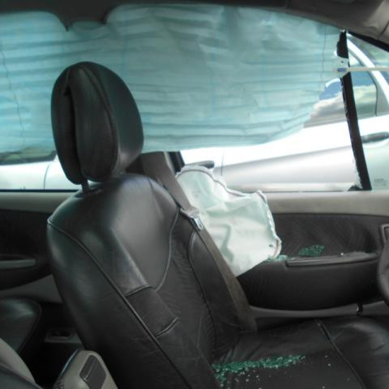 Porte avant droit RENAULT SCENIC 1 Photo n°8
