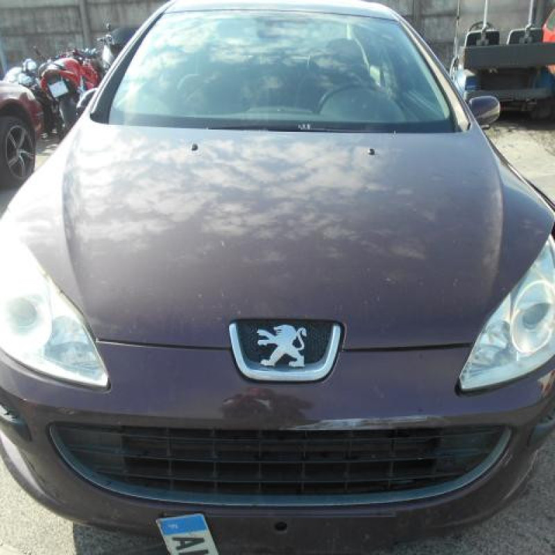 Charniere de capot PEUGEOT 407 Photo n°3