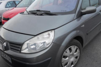 Bouton de warning RENAULT SCENIC 2