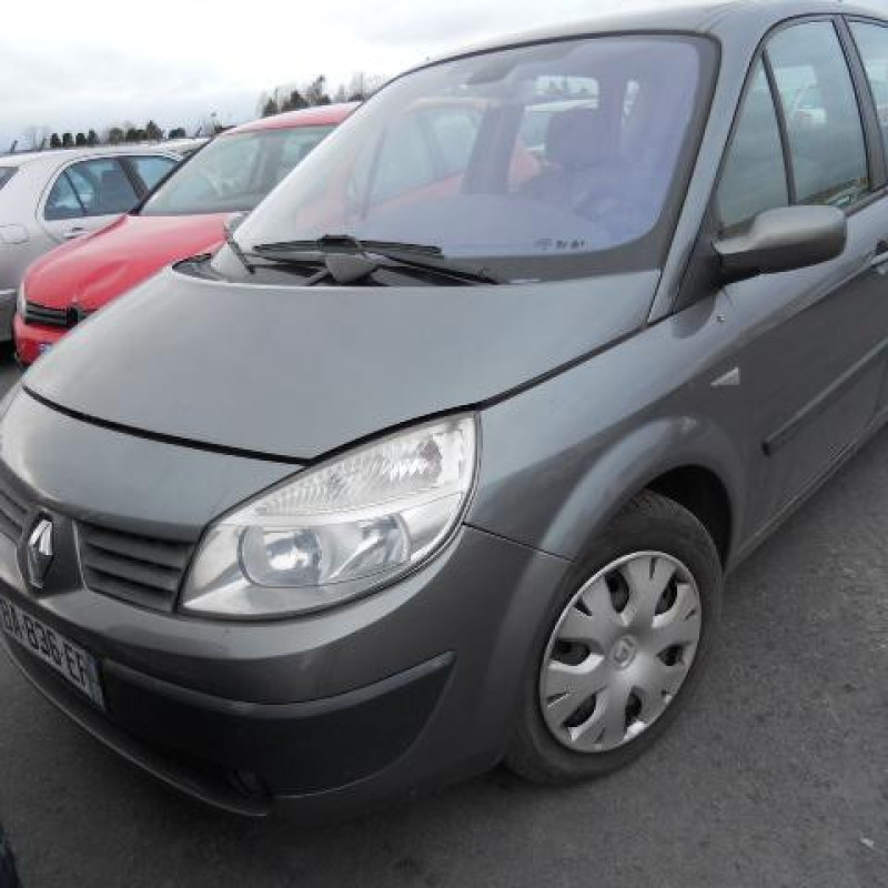 Bouton de warning RENAULT SCENIC 2 Photo n°4