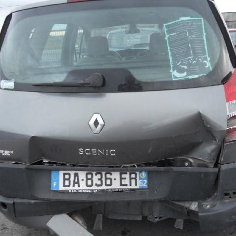 Bouton de warning RENAULT SCENIC 2 Photo n°7