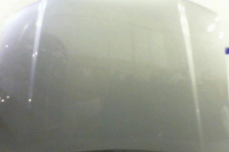 Capot AUDI A6 2 Photo n°1