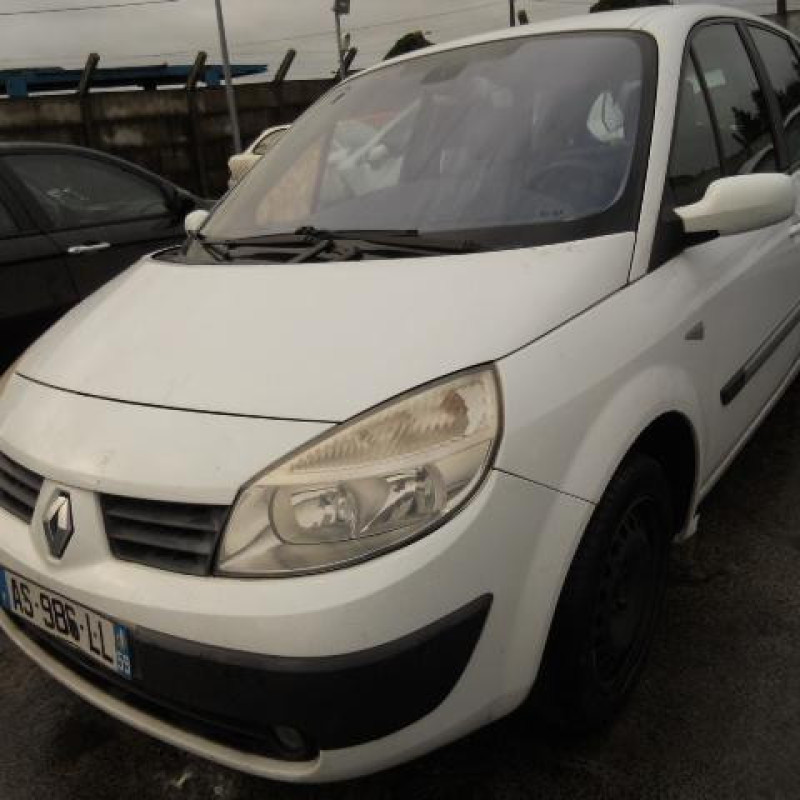 Plage arriere RENAULT SCENIC 2 Photo n°2