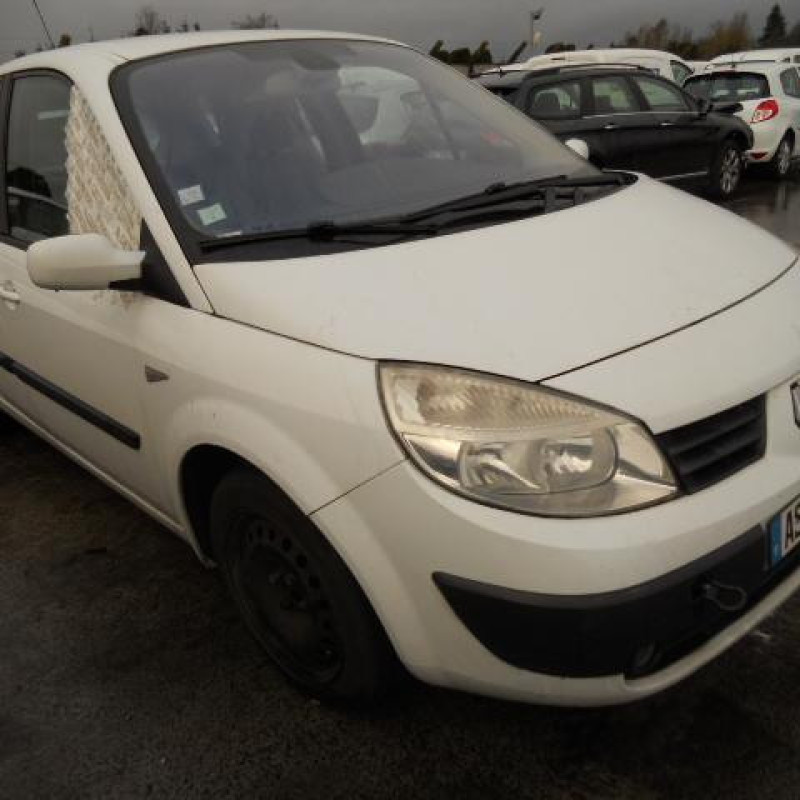 Plage arriere RENAULT SCENIC 2 Photo n°3