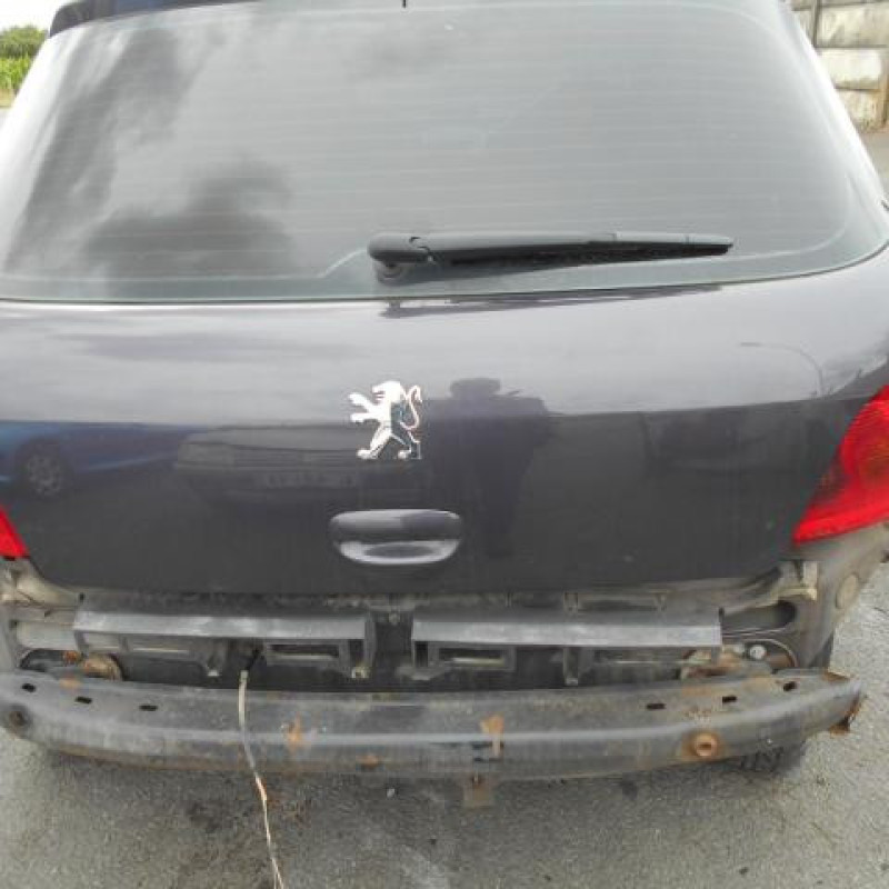 Pulseur d'air PEUGEOT 307 Photo n°7