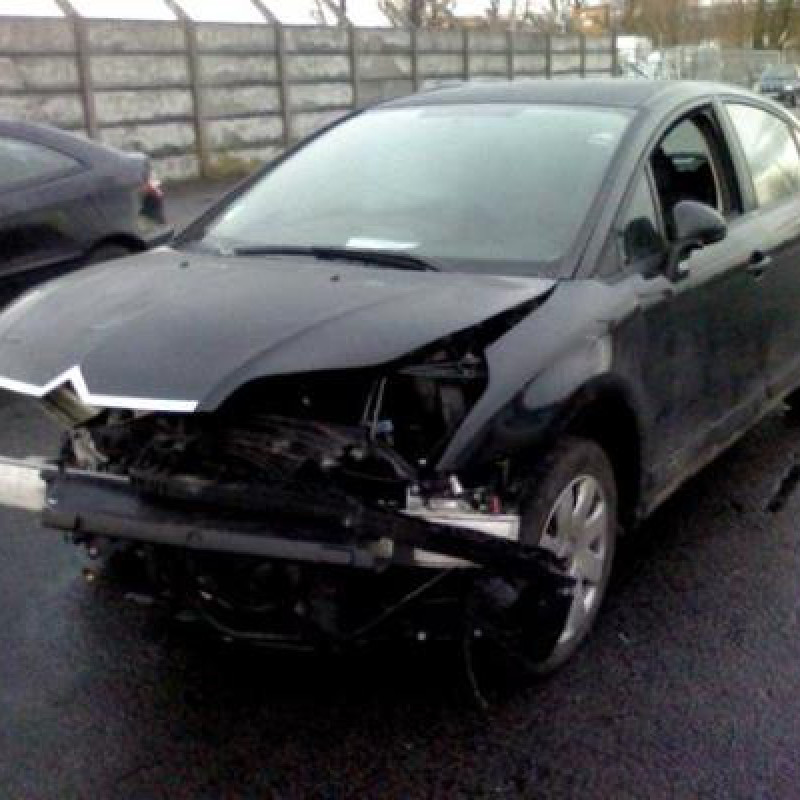 Pulseur d'air CITROEN C4 1 Photo n°3
