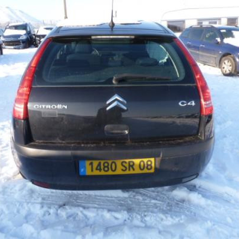 Pulseur d'air CITROEN C4 1 Photo n°8