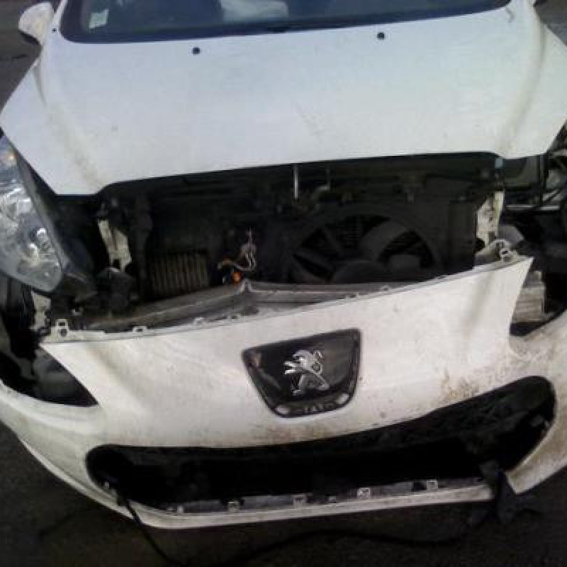 Bouton de warning PEUGEOT 308 1 SW Photo n°5