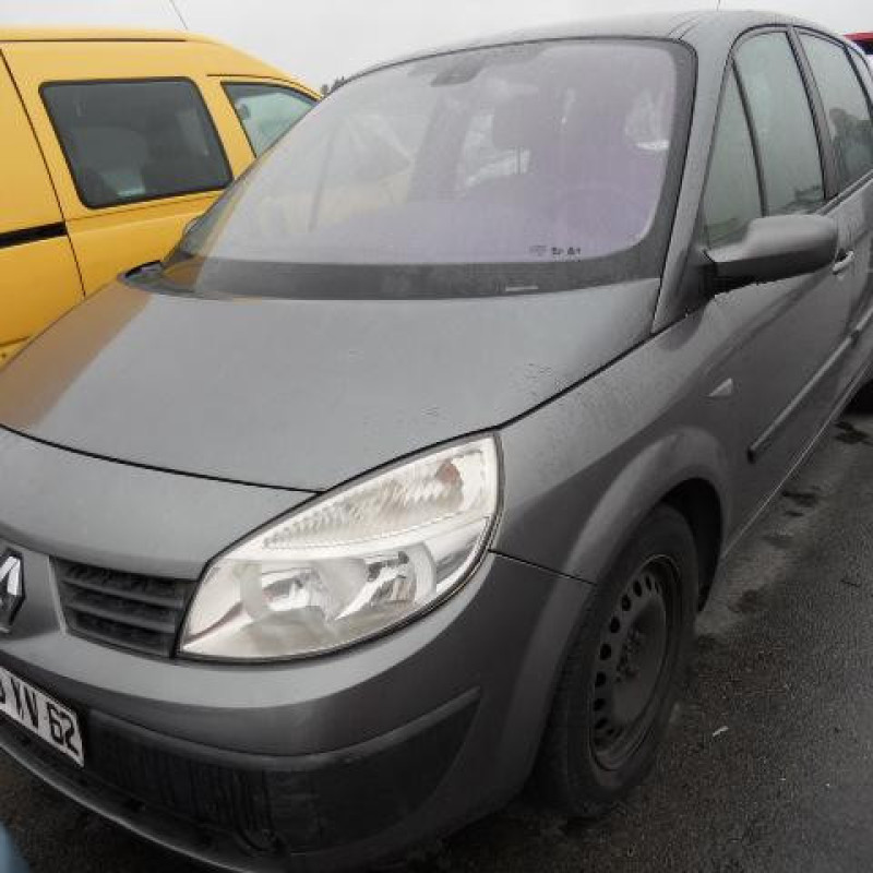 Eclairage de plafonnier RENAULT SCENIC 2 Photo n°3