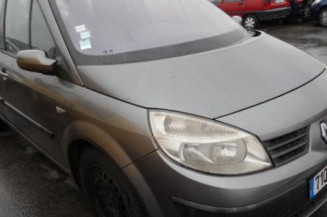 Eclairage de plafonnier RENAULT SCENIC 2