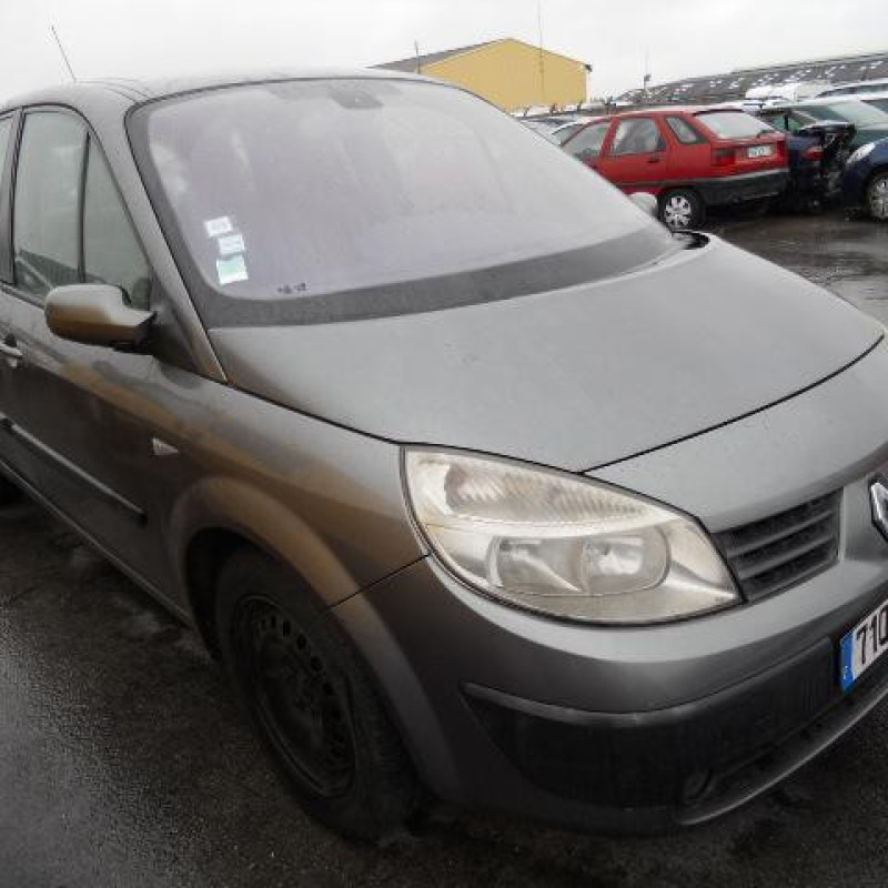 Eclairage de plafonnier RENAULT SCENIC 2 Photo n°4
