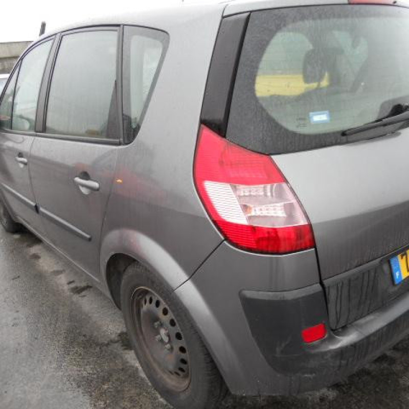 Eclairage de plafonnier RENAULT SCENIC 2 Photo n°6