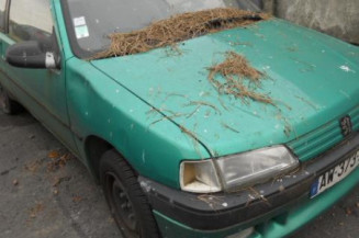 Cremaillere assistee PEUGEOT 106