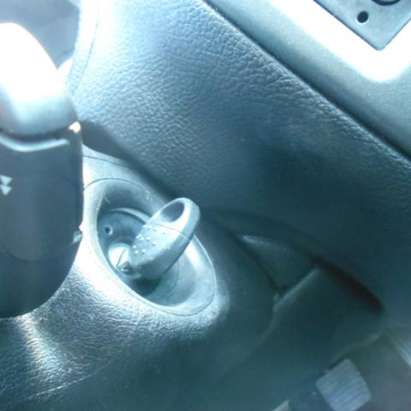 Poignee interieur avant droit PEUGEOT 206 Photo n°10