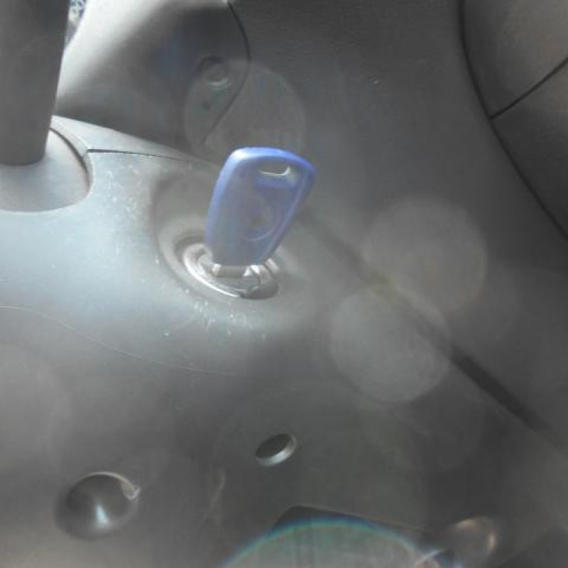 Cremaillere assistee FIAT PUNTO 2 Photo n°9
