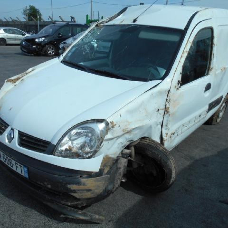 Porte de coffre droit RENAULT KANGOO 1 Photo n°2