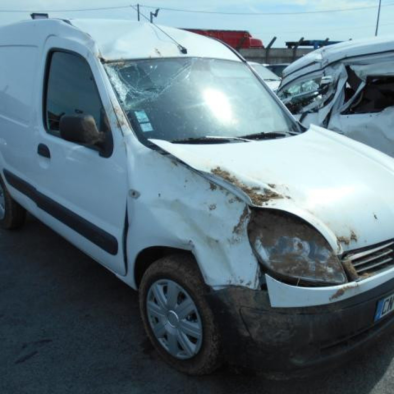 Porte de coffre droit RENAULT KANGOO 1 Photo n°3