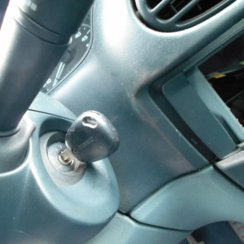 Custode arriere droit RENAULT MEGANE 1 Photo n°8