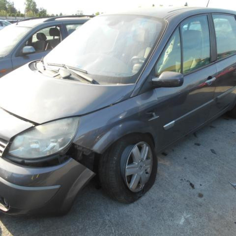 Commande regulateur vitesse RENAULT SCENIC 2 Photo n°7