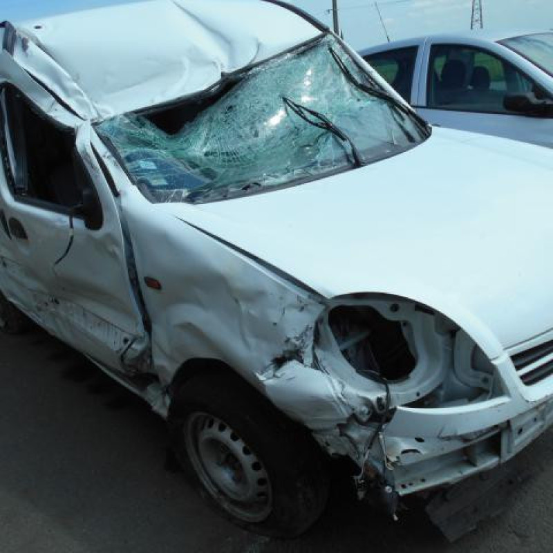Porte de coffre droit NISSAN KUBISTAR Photo n°3