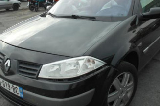 Eclairage de plafonnier RENAULT MEGANE 2