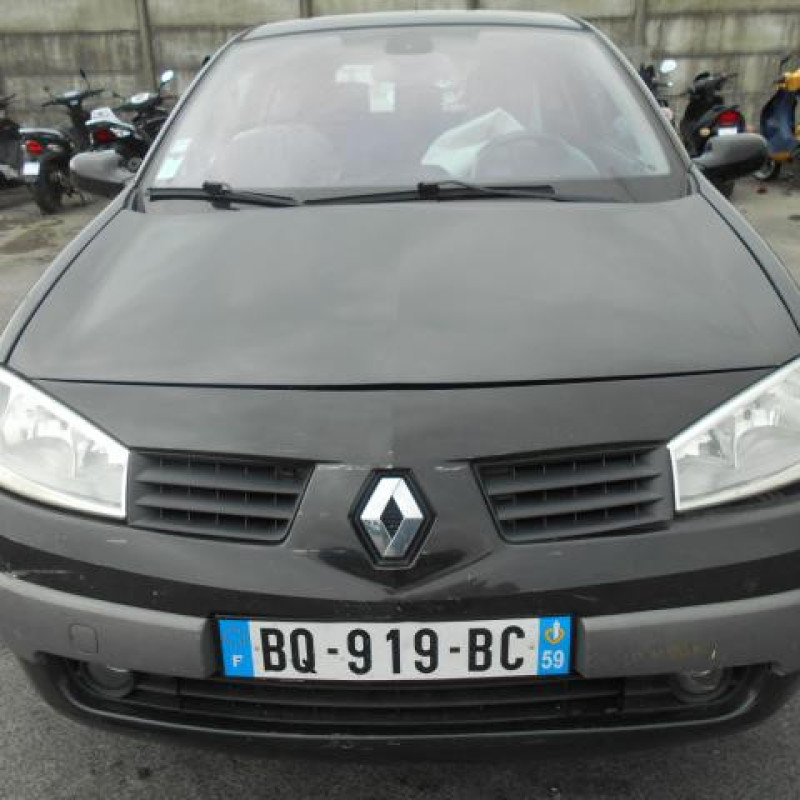 Eclairage de plafonnier RENAULT MEGANE 2 Photo n°3