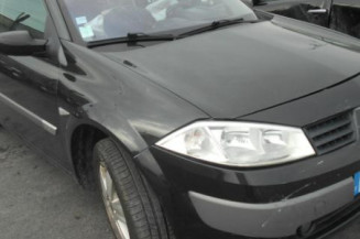 Eclairage de plafonnier RENAULT MEGANE 2