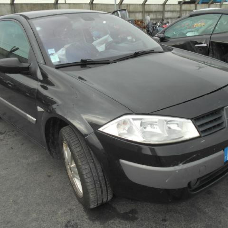 Eclairage de plafonnier RENAULT MEGANE 2 Photo n°4