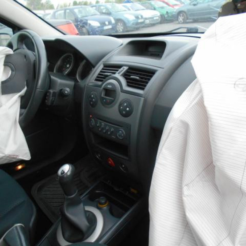 Eclairage de plafonnier RENAULT MEGANE 2 Photo n°7