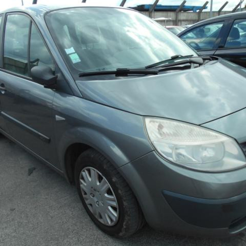 Eclairage de plafonnier RENAULT SCENIC 2 Photo n°3
