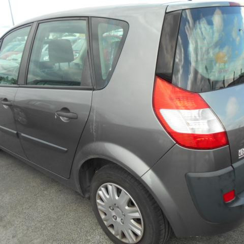 Eclairage de plafonnier RENAULT SCENIC 2 Photo n°5