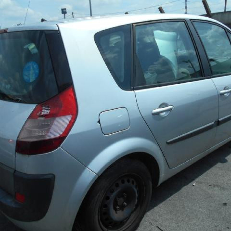 Eclairage de plafonnier RENAULT SCENIC 2 Photo n°5