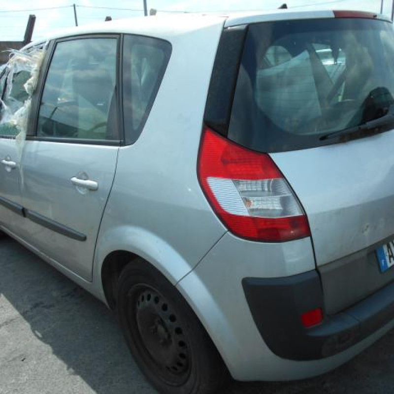 Eclairage de plafonnier RENAULT SCENIC 2 Photo n°6