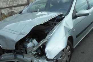 Cremaillere assistee CITROEN C5 1