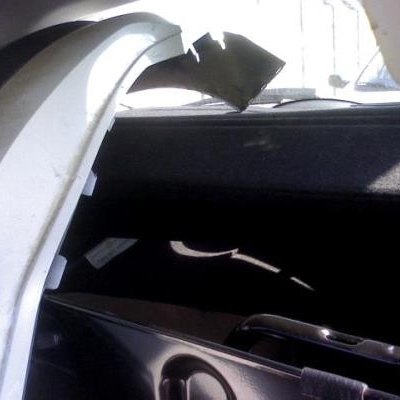 Poignee porte avant droit PEUGEOT 207 Photo n°7