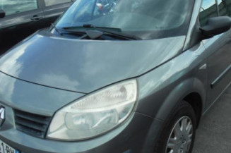 Eclairage de plafonnier RENAULT SCENIC 2
