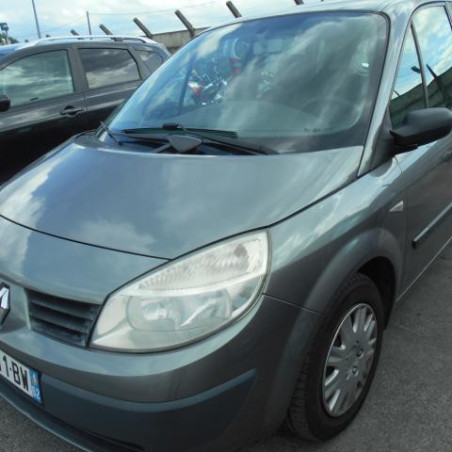 Eclairage de plafonnier RENAULT SCENIC 2