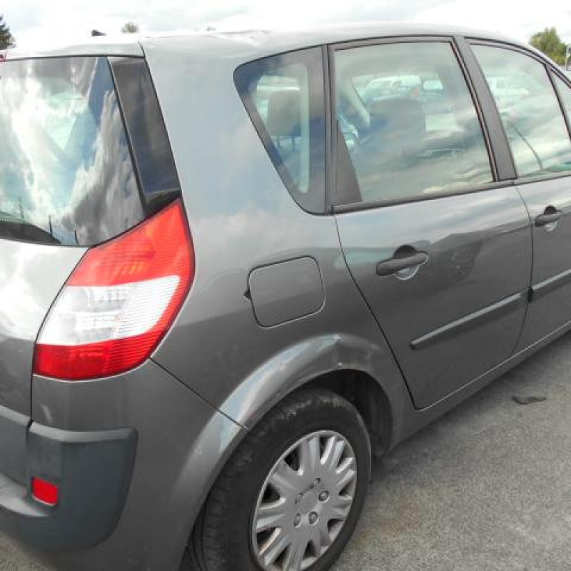 Eclairage de plafonnier RENAULT SCENIC 2 Photo n°4