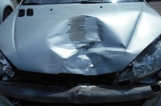 Bras essuie glace avant gauche PEUGEOT 206