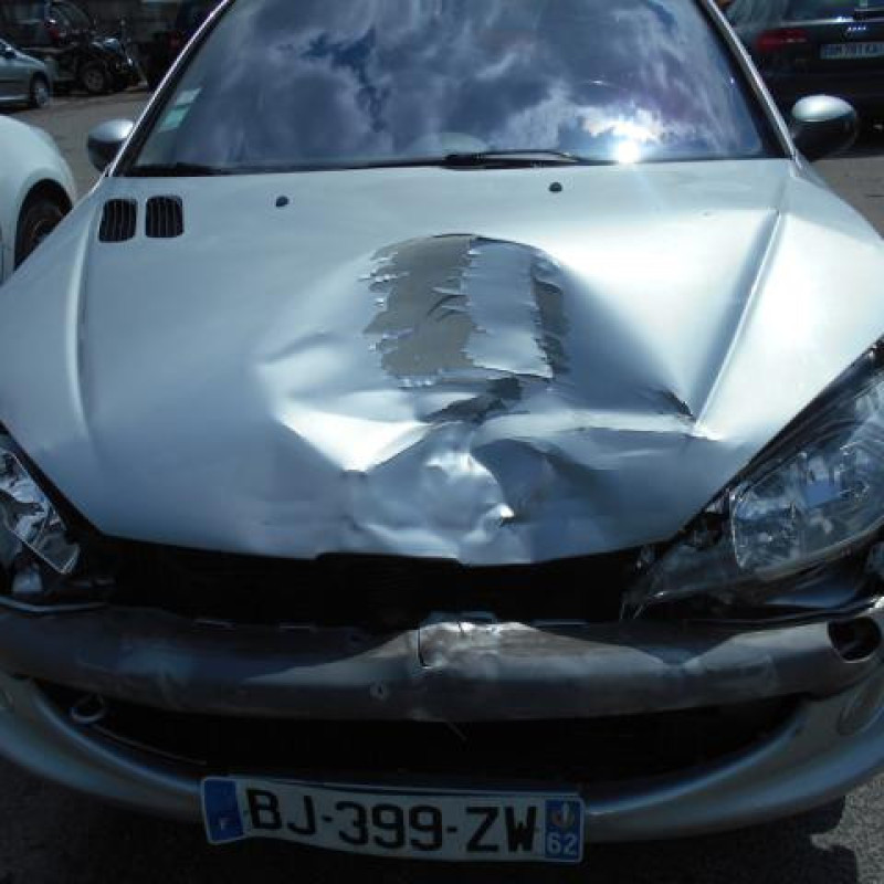 Bras essuie glace avant gauche PEUGEOT 206 Photo n°3