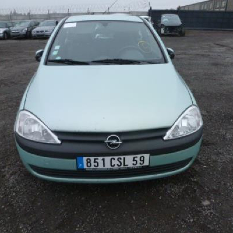 Malle/Hayon arriere OPEL CORSA C Photo n°4