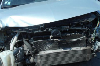 Eclairage de plafonnier RENAULT MEGANE 2