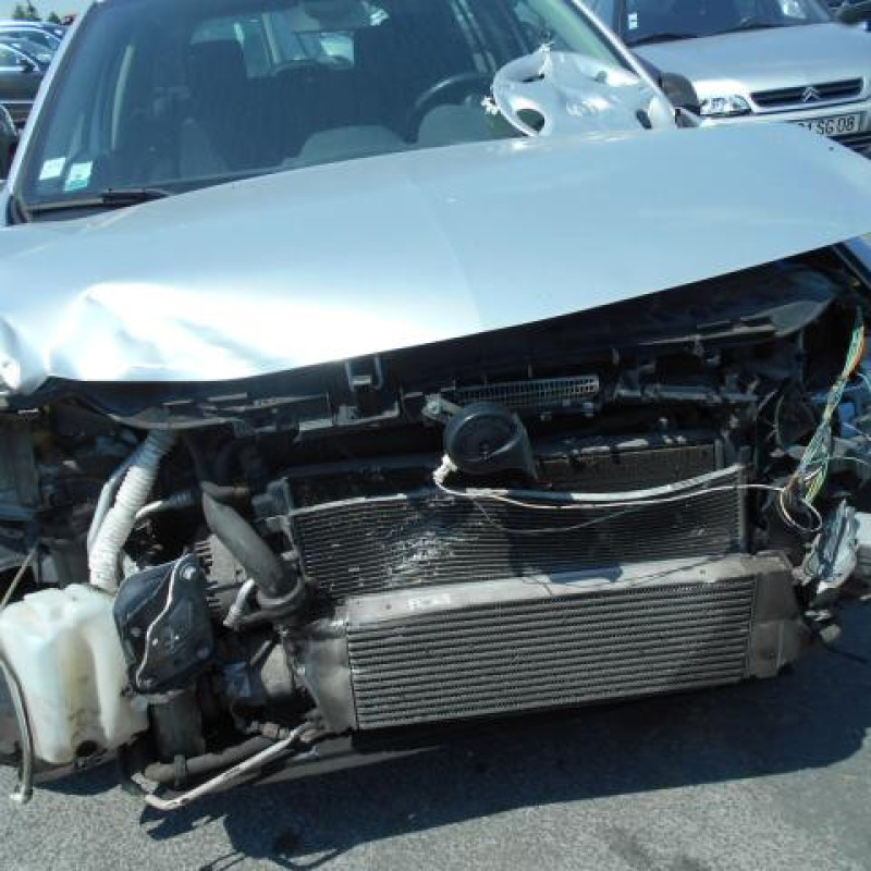 Eclairage de plafonnier RENAULT MEGANE 2 Photo n°4